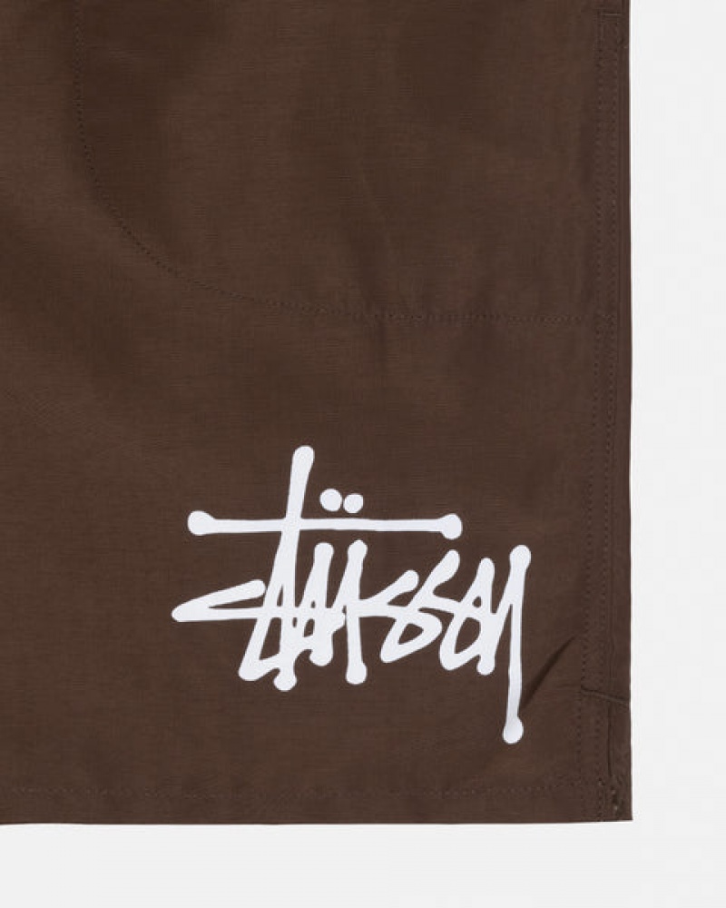 Men's Stussy Big Basic Water Short Swimwear Coffee Dubai | UAE THL-0128