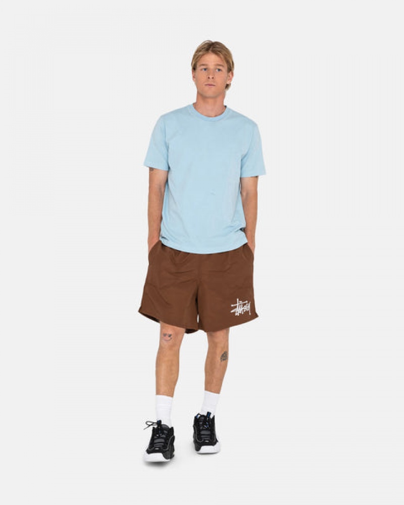 Men's Stussy Big Basic Water Short Swimwear Coffee Dubai | UAE THL-0128