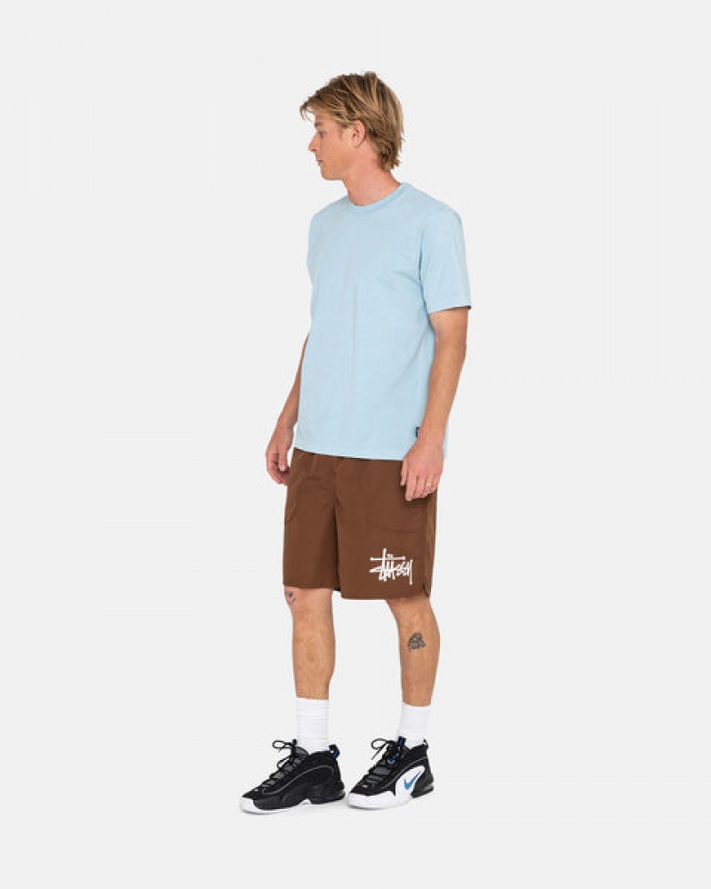 Men's Stussy Big Basic Water Short Swimwear Coffee Dubai | UAE THL-0128