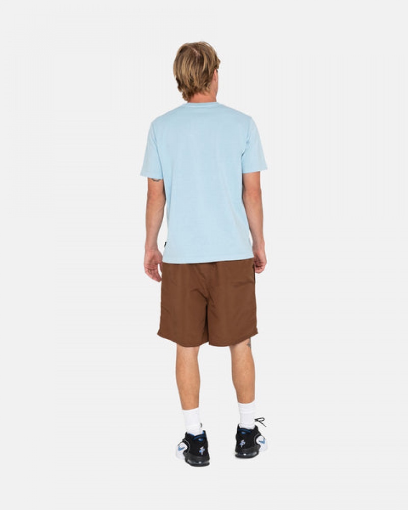 Men's Stussy Big Basic Water Short Swimwear Coffee Dubai | UAE THL-0128