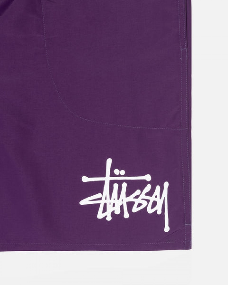 Men's Stussy Big Basic Water Short Swimwear Fuchsia Dubai | UAE CIA-6575