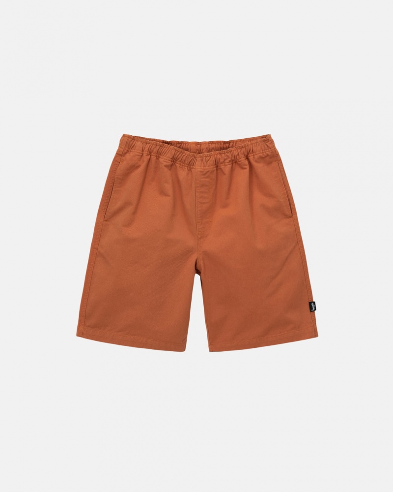 Men\'s Stussy Brushed Beach Shorts Brown Dubai | UAE LPQ-5504